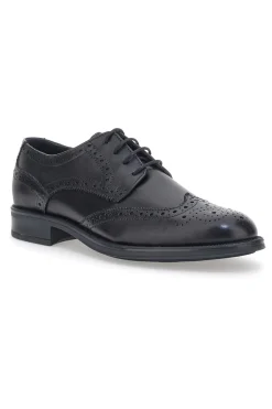 Elegante Schnürschuhe Andrea Bruni 11706 Schwarz
