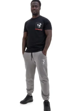 Pantaloni jogger grigi con logo stampato Abarth AH025PA