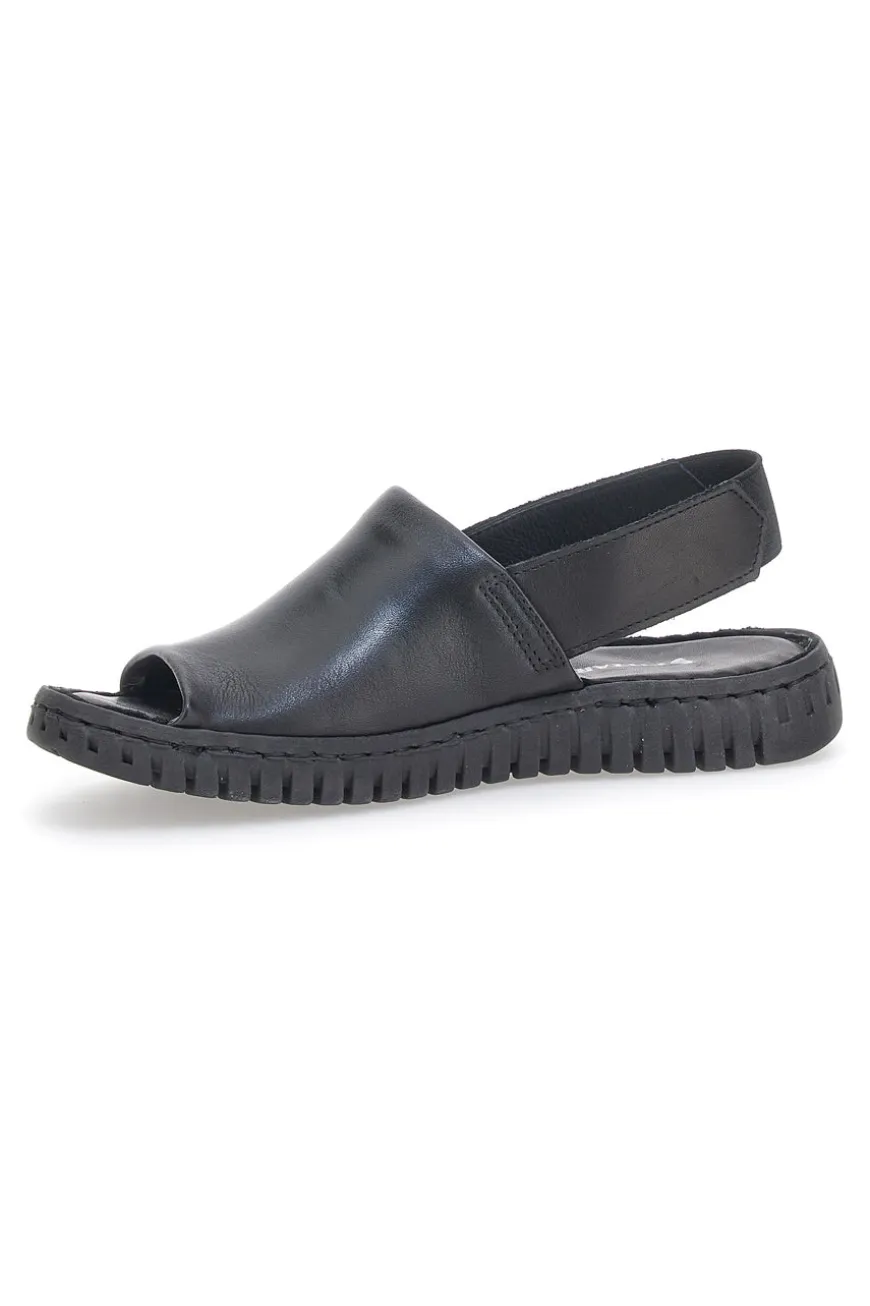 Pittarello Sandalen 4154308 Schwarz