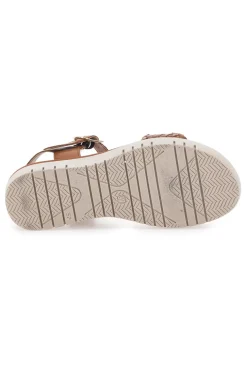Sandali Marroni Pittarello Focus 6705000