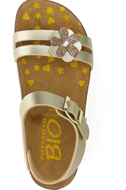 Sandali platino con strass colorati Pittarello Bio 257A007SR