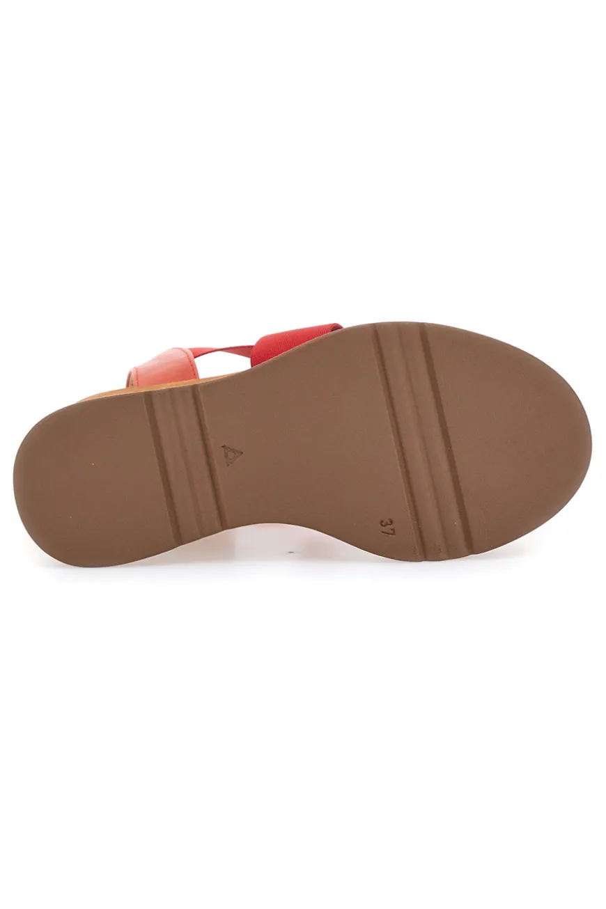 Sandali Rossi Made in Italy Con Zeppa Pittarello 34953