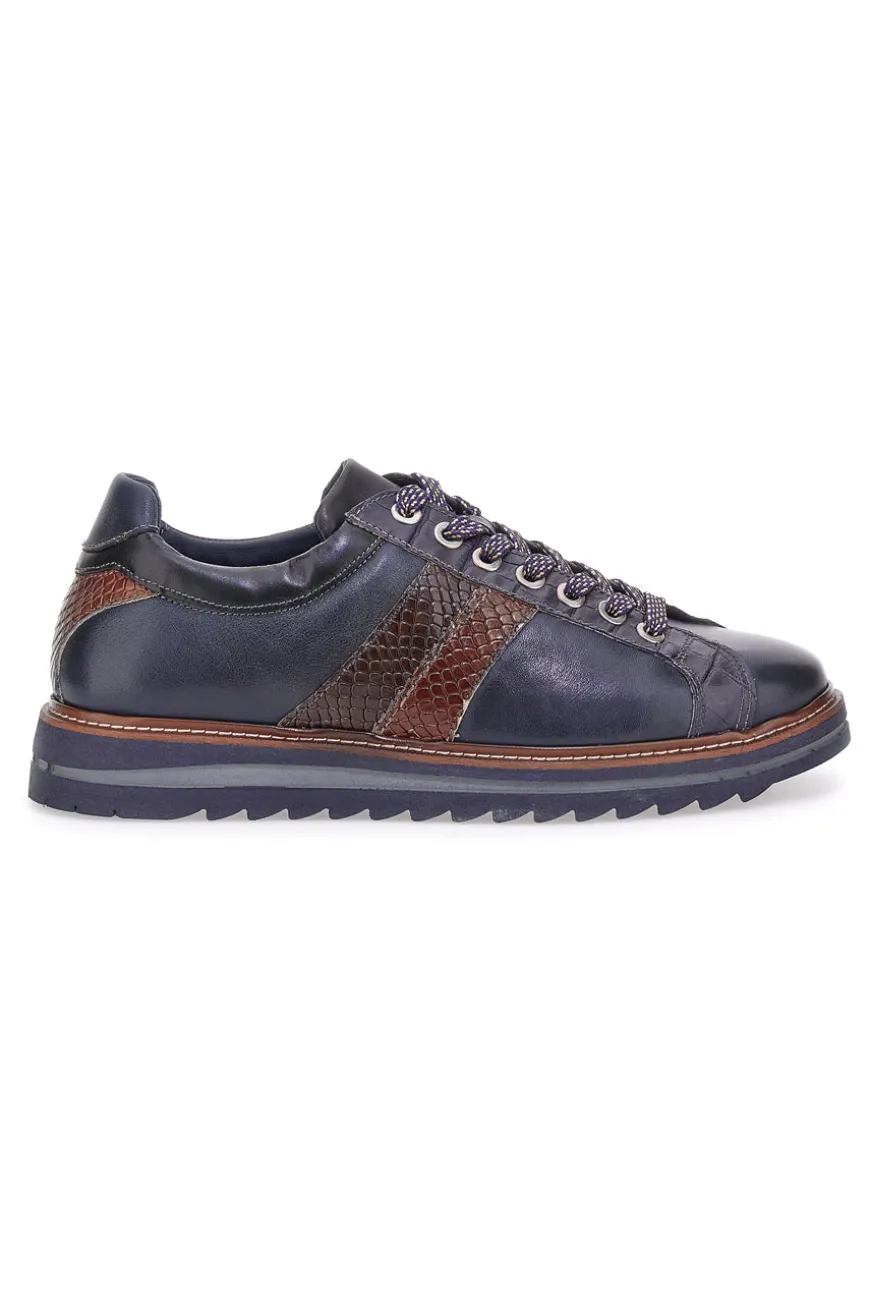 Scarpe stringate blu con inserti effetto pitone e suola carrarmato Pittarello Eco 25276006