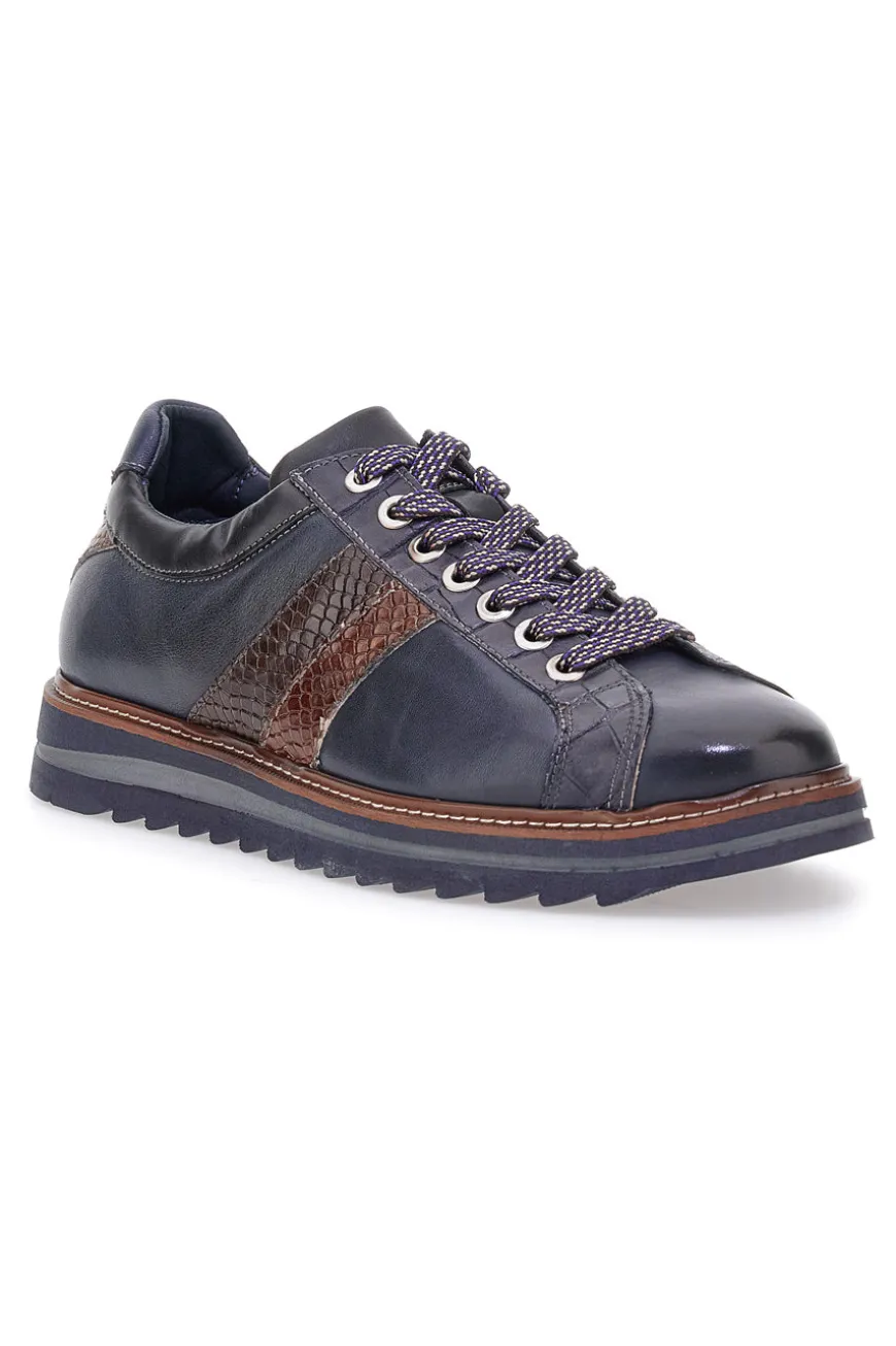 Scarpe stringate blu con inserti effetto pitone e suola carrarmato Pittarello Eco 25276006