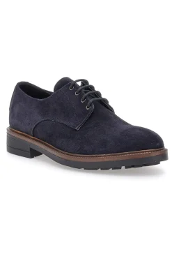 Scarpe stringate Blue in pelle scamosciata Pittarello class 600