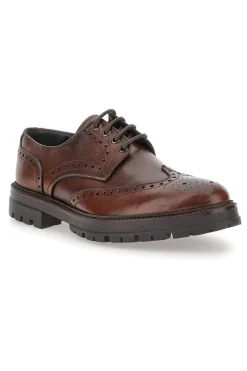 Scarpe Stringate Marroni Con Decorazione Duilio Pittarello Focus 2240