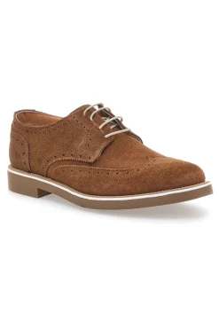 Scarpe Stringate Marroni In vera Pelle Scamosciata Pittarello 1112