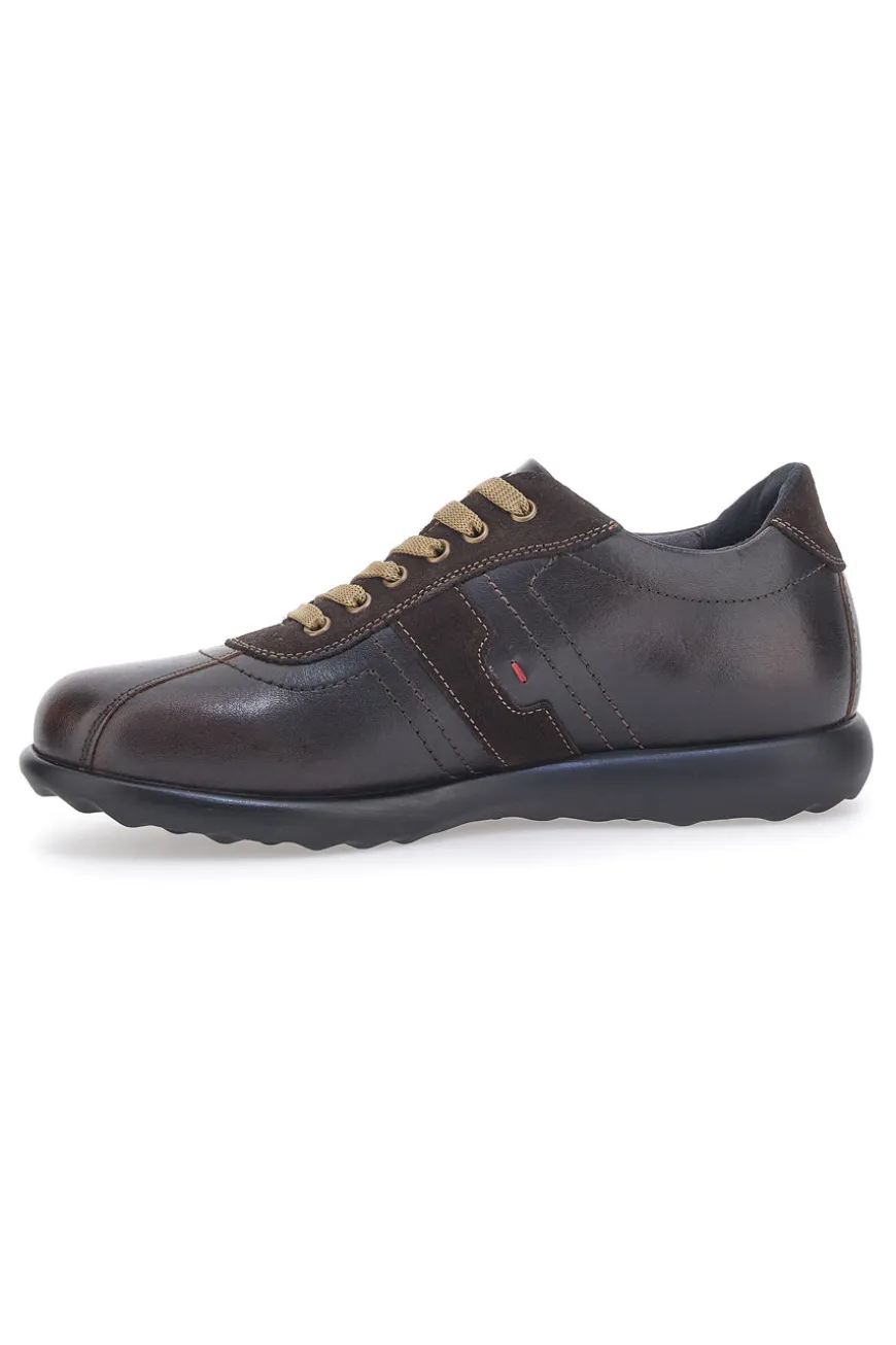 Scarpe Stringate Marroni Jerpoint 1901