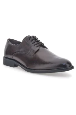 Scarpe Stringate Marroni Max Dillan 6001