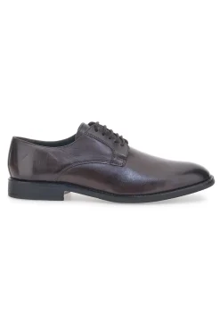 Scarpe Stringate Marroni Max Dillan 6001