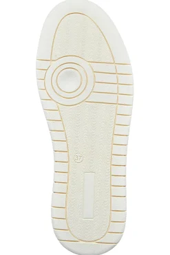 Sneakers Beige con Lacci e Cerniera Bagatt D35AQG015500