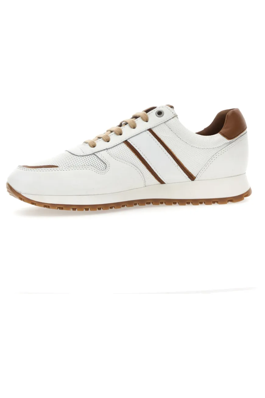 Sneakers Pittarello Plus 12010 Vera Pelle