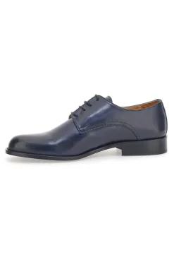 Stringata Blu Pittarello Plus 623