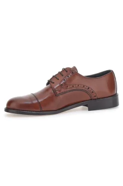 Stringate Eleganti Pittarello 7715 Marroni